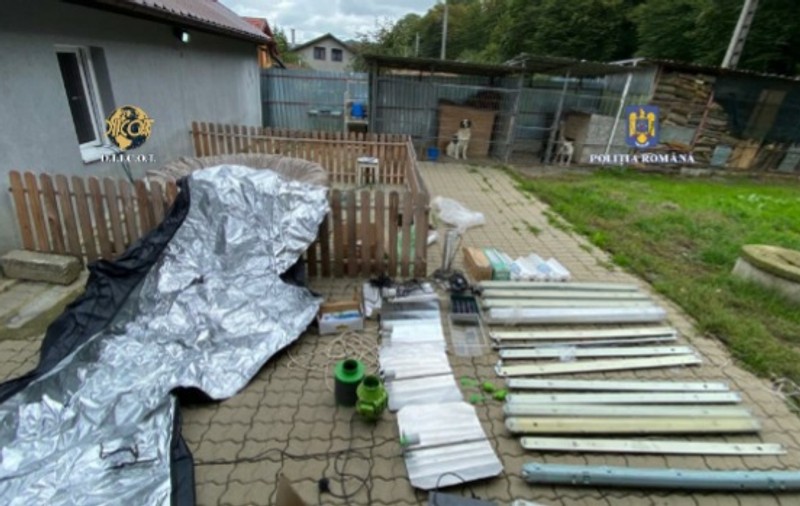 Percheziții în Mureș la traficanți de droguri, unde au fost găsite mai multe arme și sume mari de bani. 7 persoane, reținute