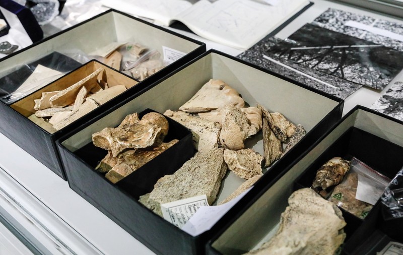 Sute de artefacte arheologice, descoperite de polițiști în două locuințe din Spania