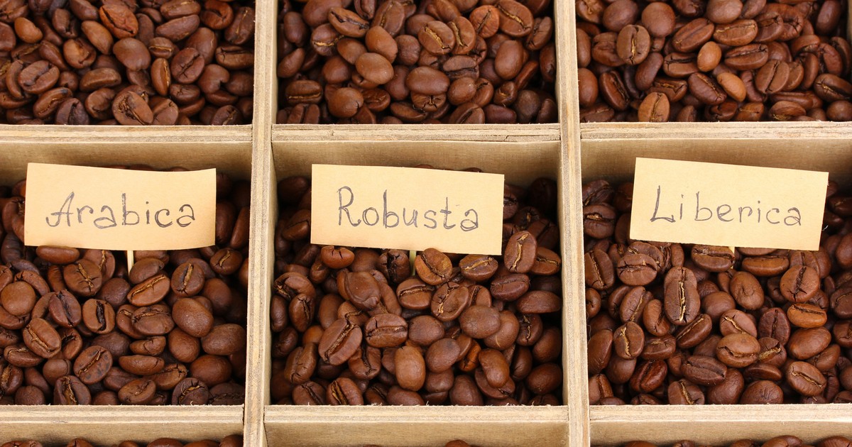 Diferența dintre cafea arabica și robusta
