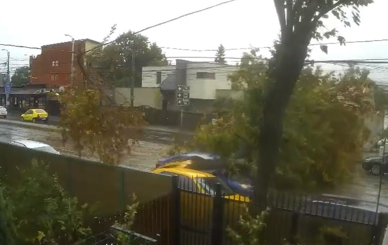 Momentul în care un copac este doborât de vânt pe o mașină aflată în mers, în București
