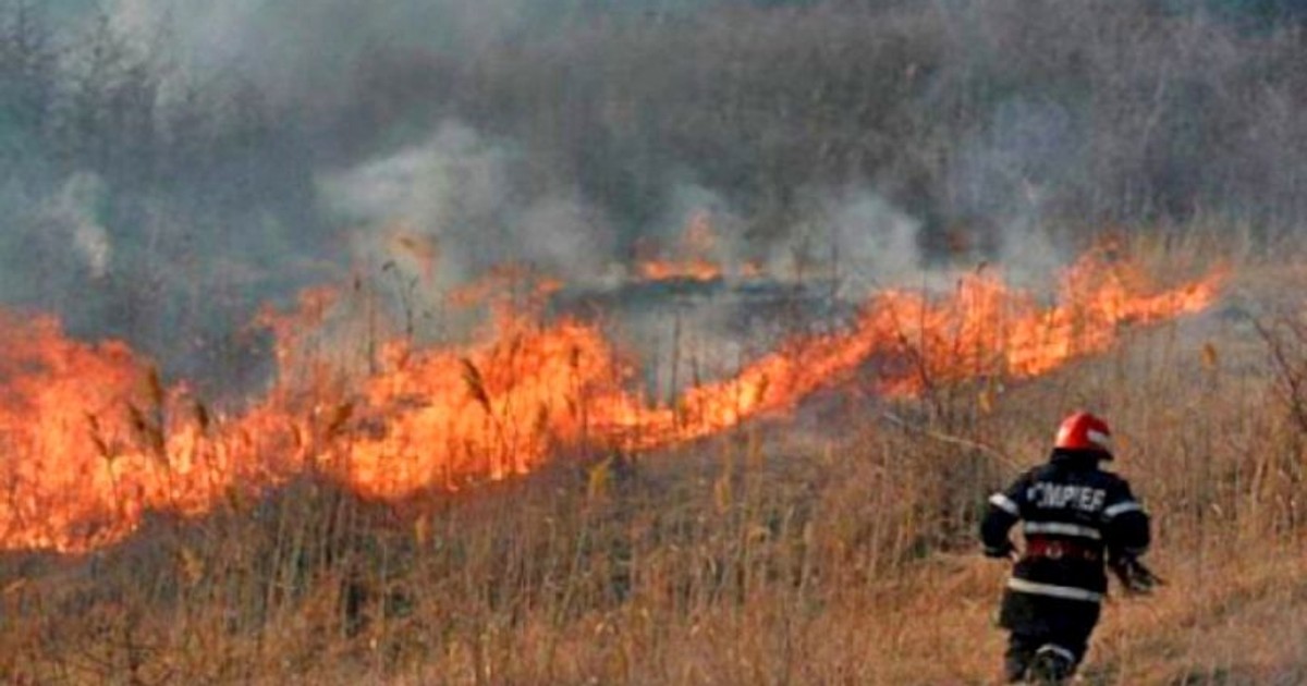 Incendiu de vegetație în Prahova. Mai multe case sunt în pericol
