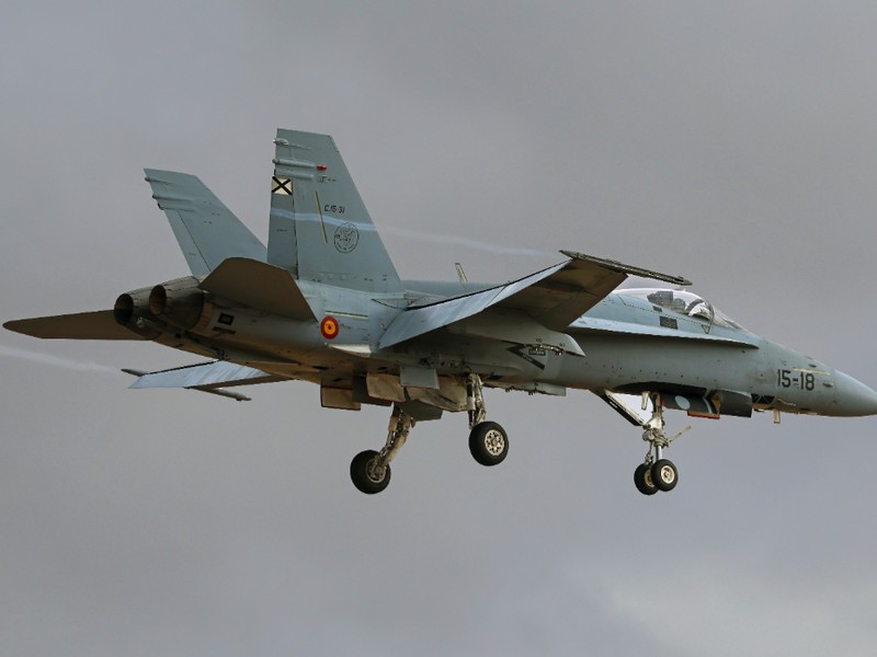 Un avion de vânătoare F/A-18 Hornet aflat în zbor la altitudine joasă, cu trenul de aterizare coborât