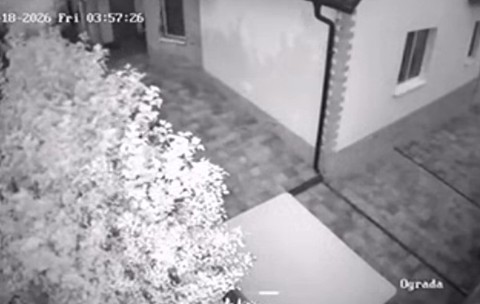 Secvență alb-negru capturată de o cameră de supraveghere nocturnă, ce arată curtea interioară a unei clădiri rezidențiale pavele și vegetație.