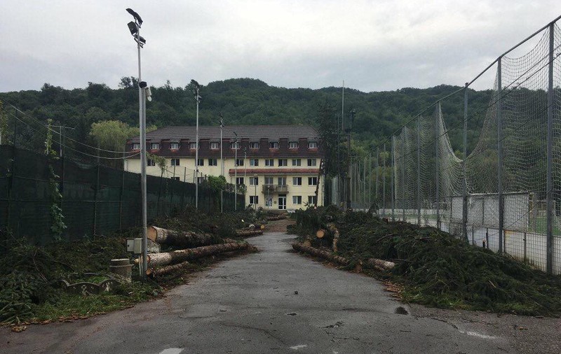 Brazi puși la pământ la stadionul ”Jean Pădureanu” din Bistrița. Cum arăta zona, cu o zi înaintea tăierilor / FOTO ÎN ARTICOL