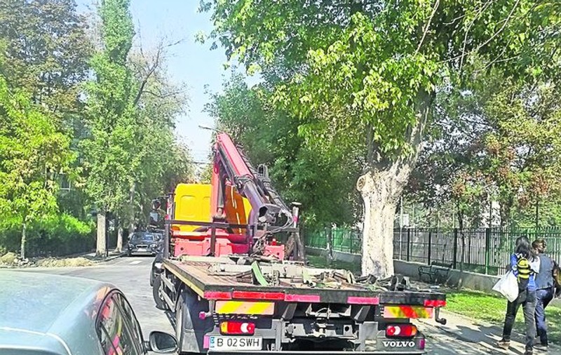 Iată-i pe «hingherii de maşini» cum stau la vânătoare