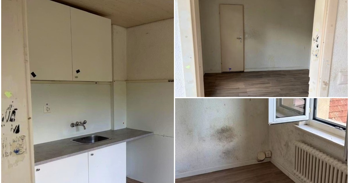 Acest colaj de imagini prezintă interiorul degradat al unei locuințe goale, în stânga o chicinetă albă simplă, iar în dreapta o cameră cu parchet laminat, o ușă închisă, un calorifer și pereți murdari cu urme vizibile de igrasie.