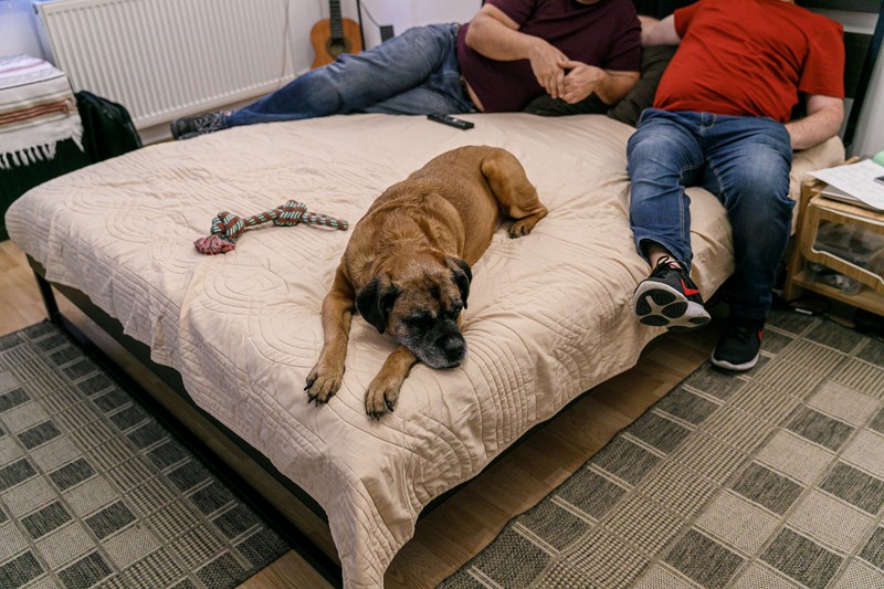 Vor ca statul să le recunoască relația, ca să poată fi întocmai ca o familie