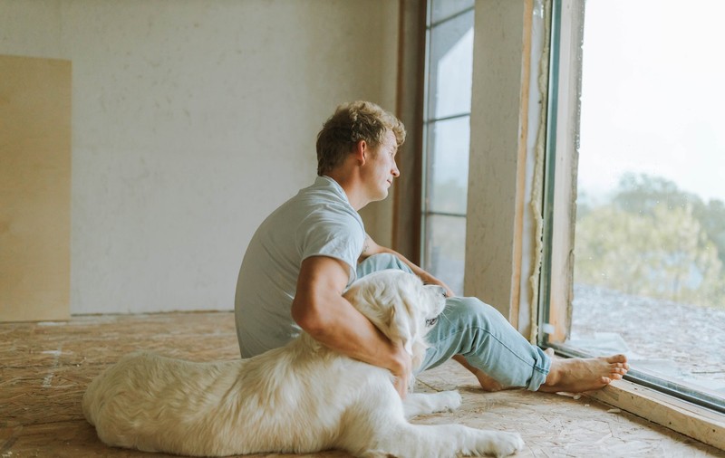 Cum să planifici o relocare atunci când ai animale de companie