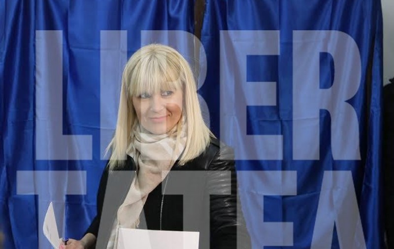Rezultate alegeri parlamentare 2016. Ce rezultate au obținut Elena Udrea, Theodor Paleologu şi Remus Cernea