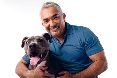 Cesar Millan este protagonistul serialului ”Cesar și câinii”