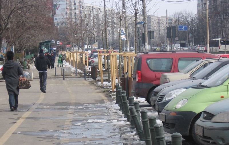 Liviu Negoiţă plantează copaci de aproximativ 1.000.0000 de euro 