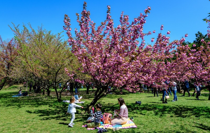 Prognoza meteo pentru următoarele două săptămâni. Temperaturi maxime de până la 28 de grade