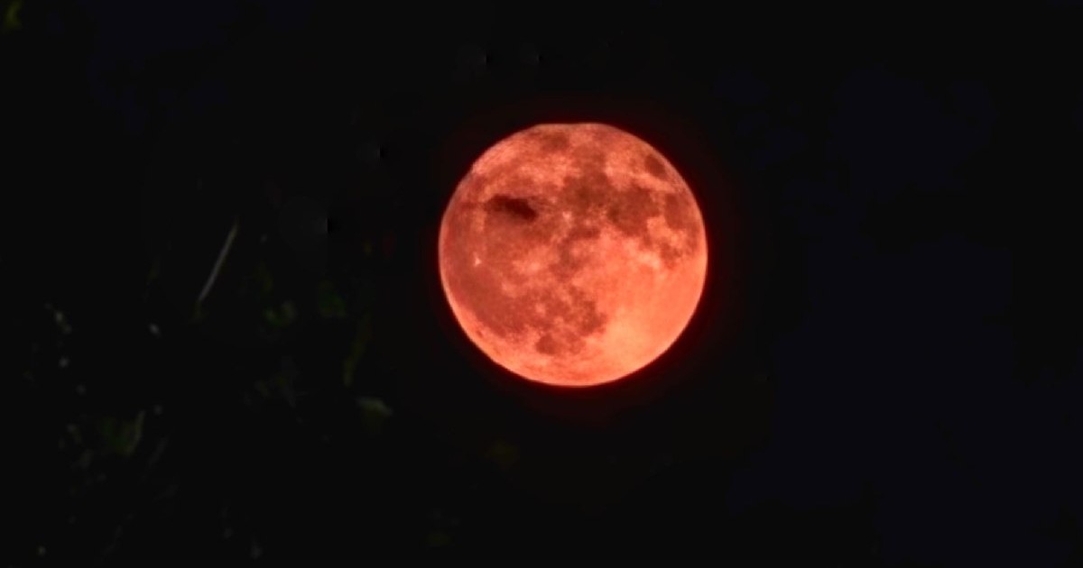 Luna plina, luna căpșuna