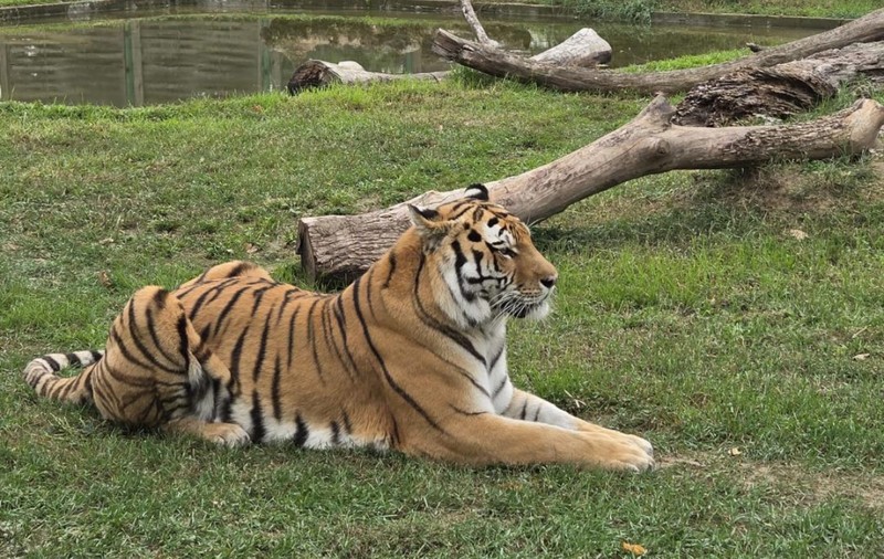 Mutarea Grădinii Zoologice din Oradea, încă fără soluție după cinci ani și trei variante ratate