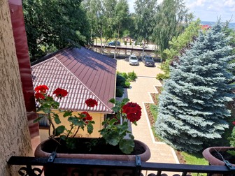 Curtea şi grădina cu brazi argintii şi flori roşii