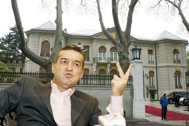 Arhiva foto