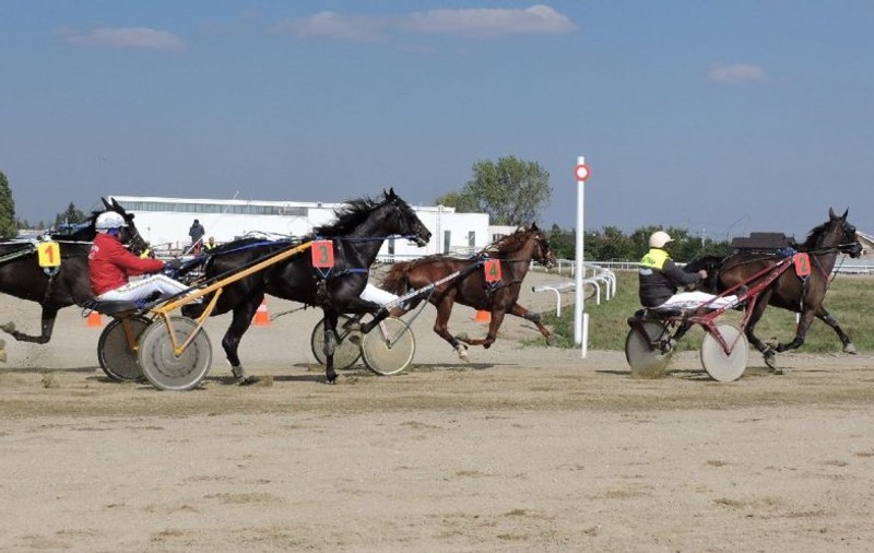 Prima cursă de galop pe hipodromul din Ploiești. Principala atracție: ”Premiul de Mai”, o alergare semiclasică rezervată cailor de 3 ani şi mai în vârstă