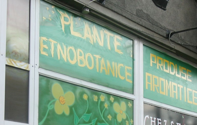 Etnobotanicele încă mai fac victime