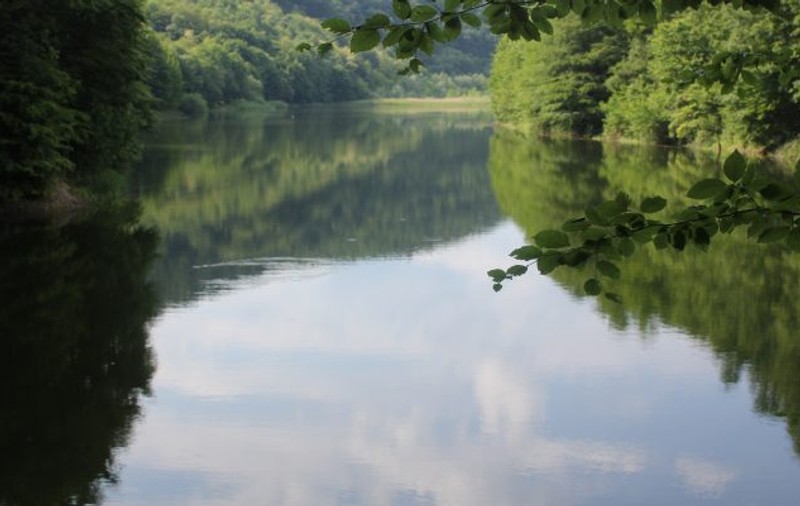 Lacul Cozia, apa misterioasă din apropiere de Deva în care nimeni nu înoată. Sătenii se feresc de baltă, din cauza unor incidente neobișnuite