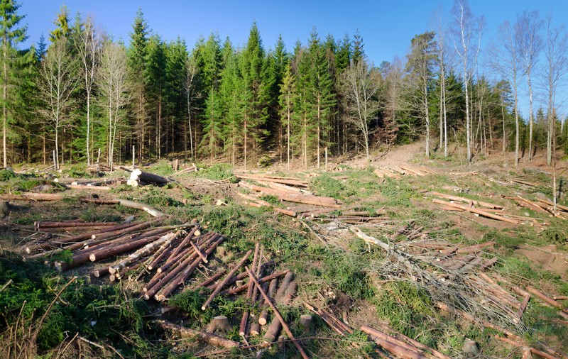 Uniunea Europeană incriminează distrugerile aduse mediului „comparabile cu ecocidul”