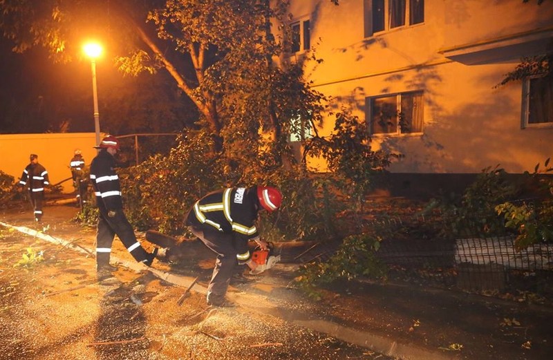 Pompierii au intervenit în Capitală pentru a îndepărta copacii rupți din cauza vântului