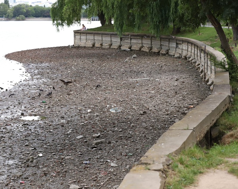 Cum arată lacul golit din parcul Herăstrău din București. Trotinete și scaune, printre obiectele găsite pe fundul lacului