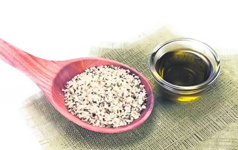 CÂNEPA – cea mai bogată sursă de proteină