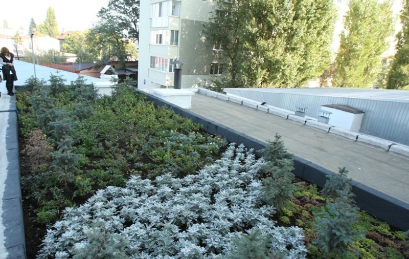 Aşa arată primul acoperiş “verde” din Capitală