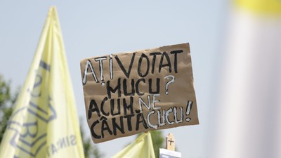 protes-profesori-palatul-parlamentului-dumitru-angeelscu