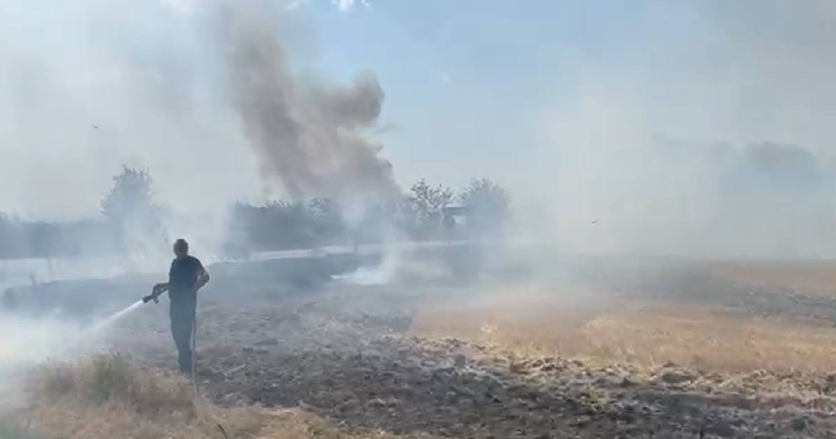 Un pompier încearcă să stingă focul. În jurul lui arde vegetația cu fum abundent
