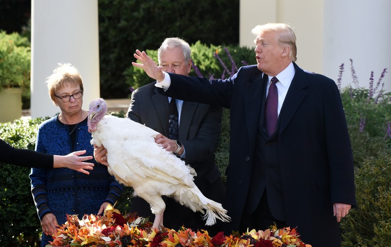 Donald Trump a grațiat doi curcani. Mazăre și Morcov au fost cazați într-un hotel de lux / FOTO&VIDEO