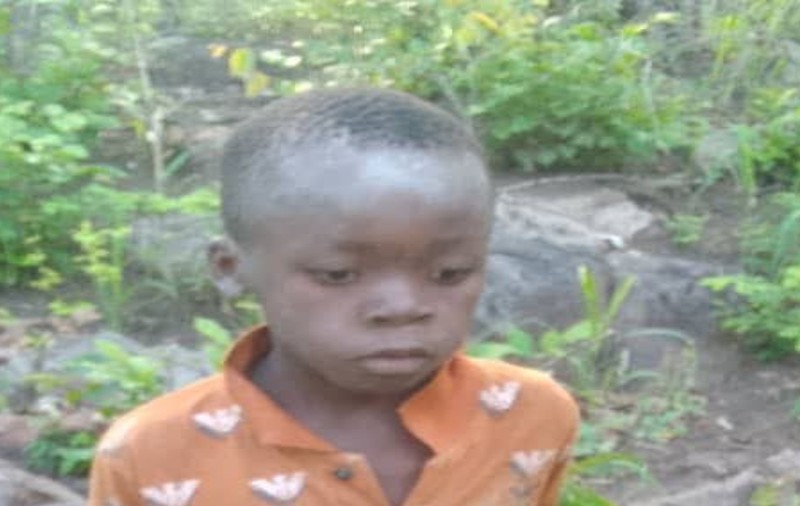 Un băiat de 8 ani a supraviețuit 5 zile printre lei și elefanți într-un parc din Zimbabwe