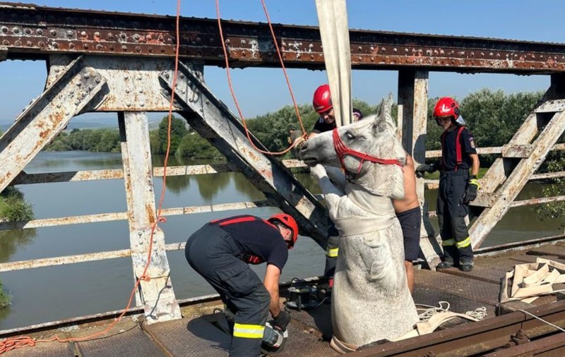 Cal rămas blocat, cu partea din spate a corpului, într-un pod din metal din Ocna Mureş, salvat de pompieri