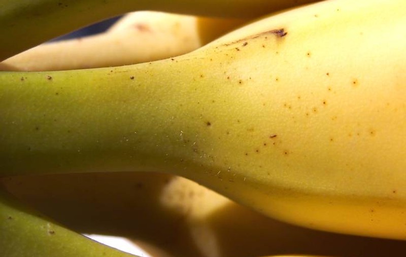 5 motive ca să mănânci banane