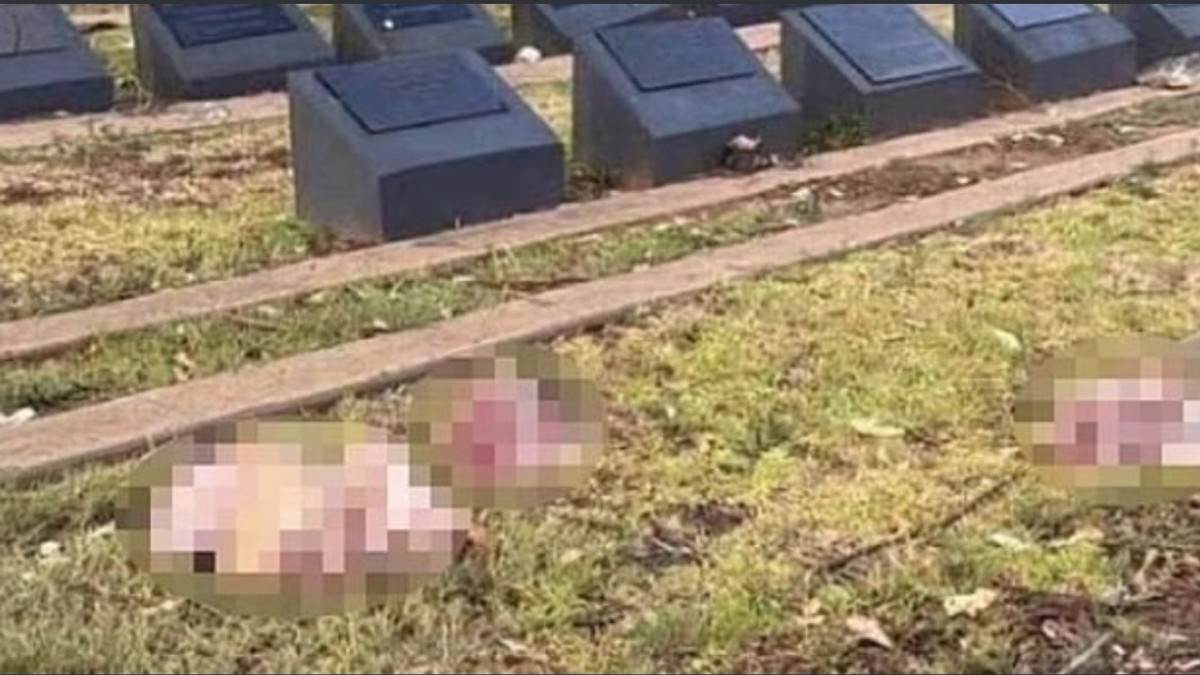 Capete de porc, găsite în cimitirul musulman din Narellan, la câteva ore după atacul de pe plaja Bondi din Sydney, Australia Captură X @peoplesnews2024