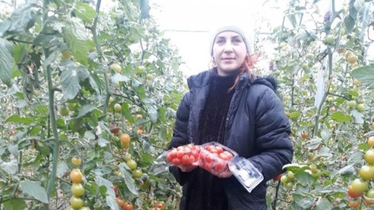 O tânără psiholog din Craiova a dat lovitura cu o afacere cu roșii cherry