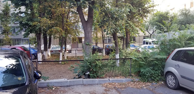 CAPORAL ANGHELINA - pătrat minuscul în care se află 10 copaci, între blocurile de pe străduța cu același nume