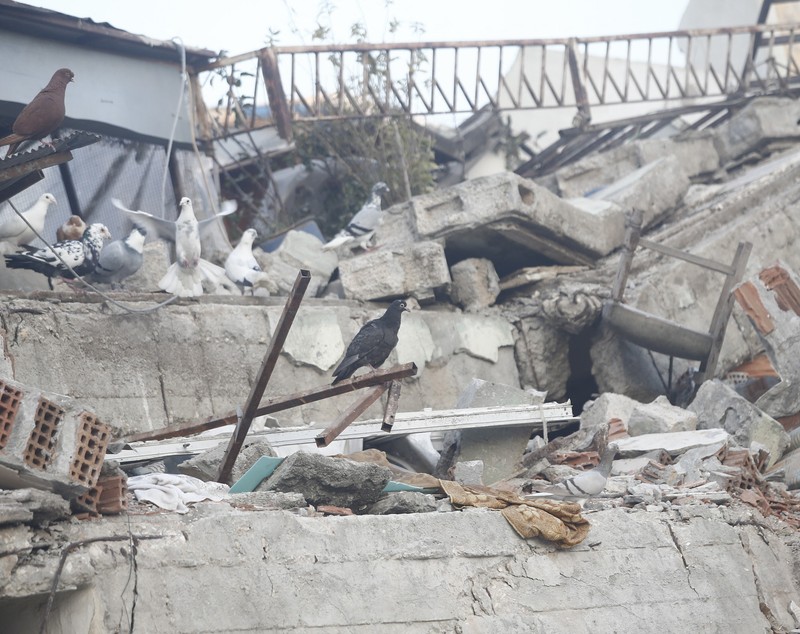 Peste 41.000 de morți, în Turcia și Siria, după cutremur. Tot mai puțini oameni sunt scoși în viață din ruine