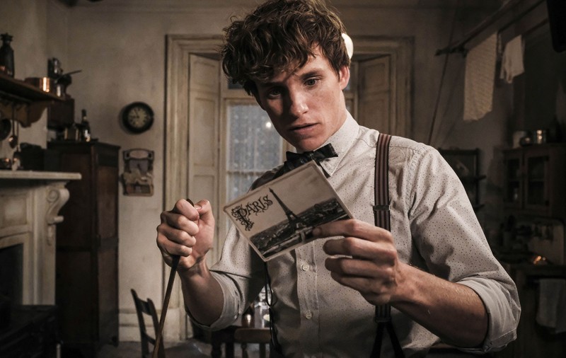 Filmările pentru „Fantastic Beasts 3”, suspendate, după ce un membru al echipei s-a infectat cu COVID-19