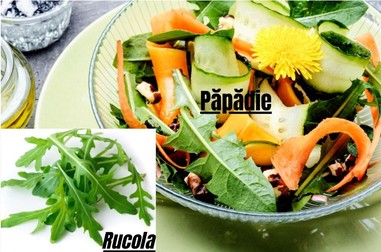 Diferența dintre rucola și păpădie