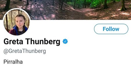 Captură a descrierii profilului lui Greta Thunberg de pe rețeaua Twitter / sursă: Daily Mail