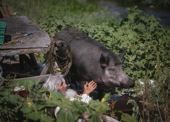 Panta Petrovic, alături de porcul său, Mara | Foto: Profimedia
