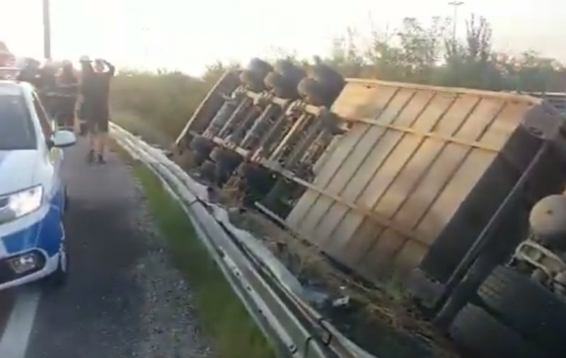 VIDEO | Un camion încărcat cu 200 de porci s-a răsturnat la Pitești, la intrarea pe A1