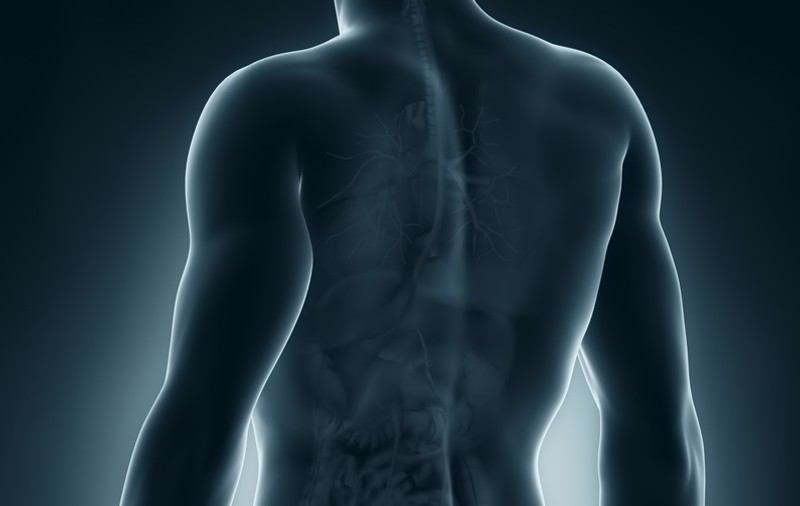 Care sunt primele semne de cancer de prostată