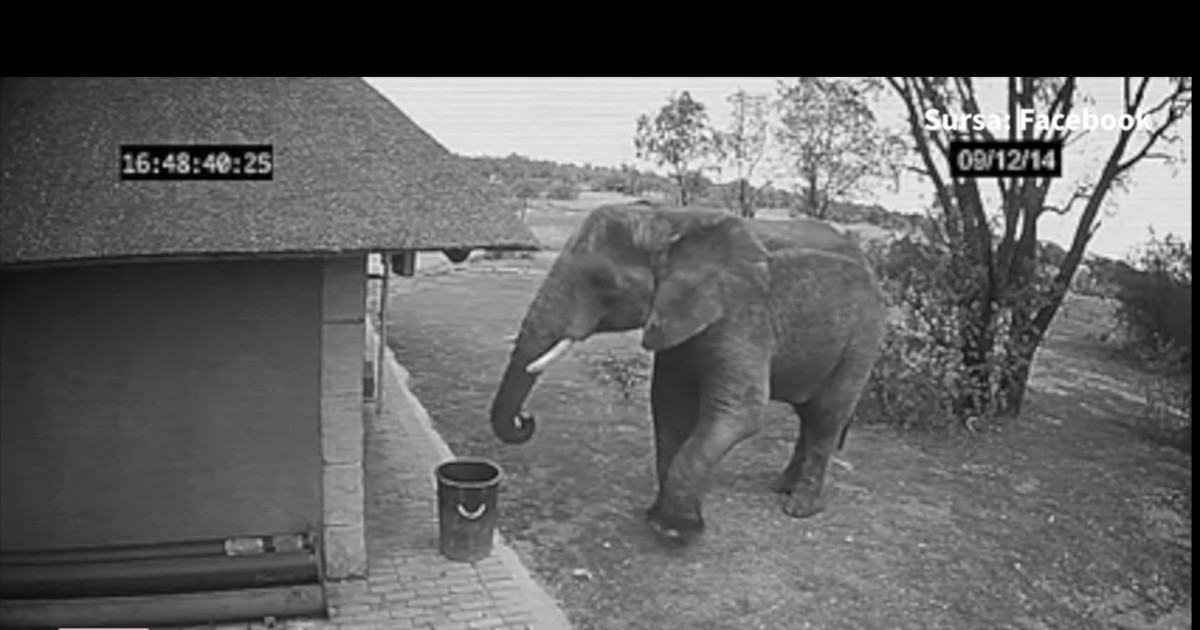 Arhiva foto