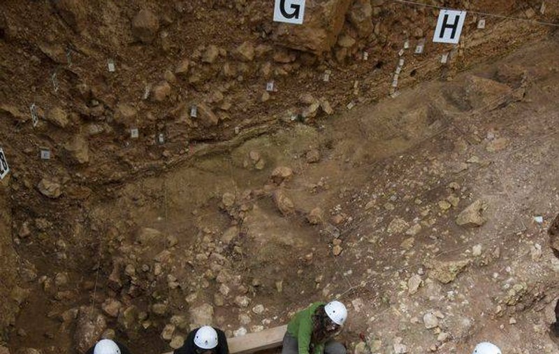 În România au fost descoperite fosilele unui nou tip de reptilă zburătoare. A trăit în urmă cu 68 de milioane de ani