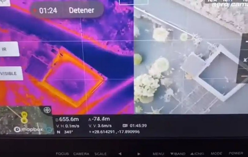 Câinii abandonați în insula La Palma, căutați cu drone printre râurile de lavă. „Vom încerca să-i salvăm”