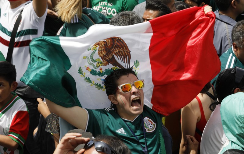 Scandal homofob la meciul Germania - Mexic, de la Campionatul Mondial de fotbal Rusia 2018: ”Puto”