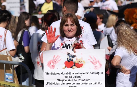 O femeie aflată în mijlocul protestatarilor își ridică palma acoperită cu vopsea roșie și ține o pancartă cu imaginile unui cățel și ale unei pisici alături de mesaje de protecție a animalelor.