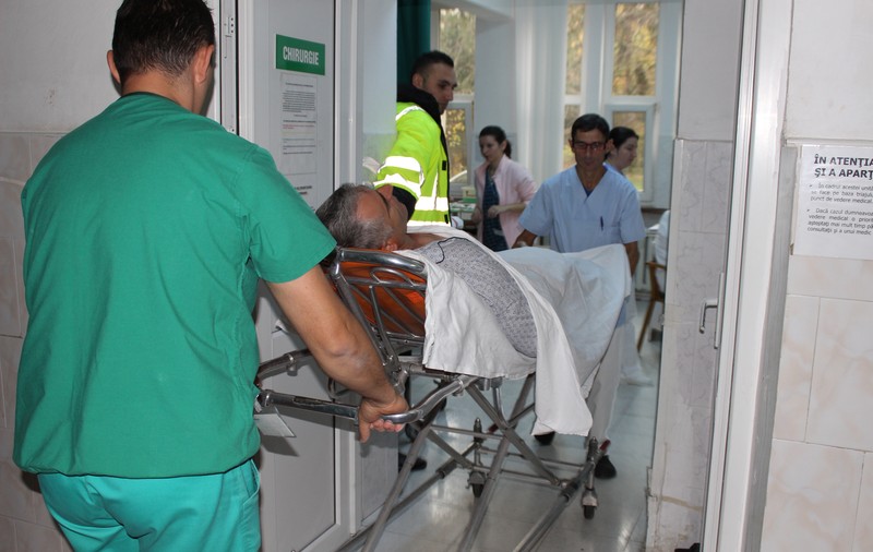 UPDATE: Adolescentă de 14 ani și un bărbat, atacați de urs într-un cartier din Făgăraș. Declarații ale unor martori la atac | VIDEO